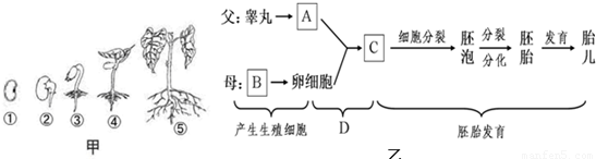 AG真人官方网址